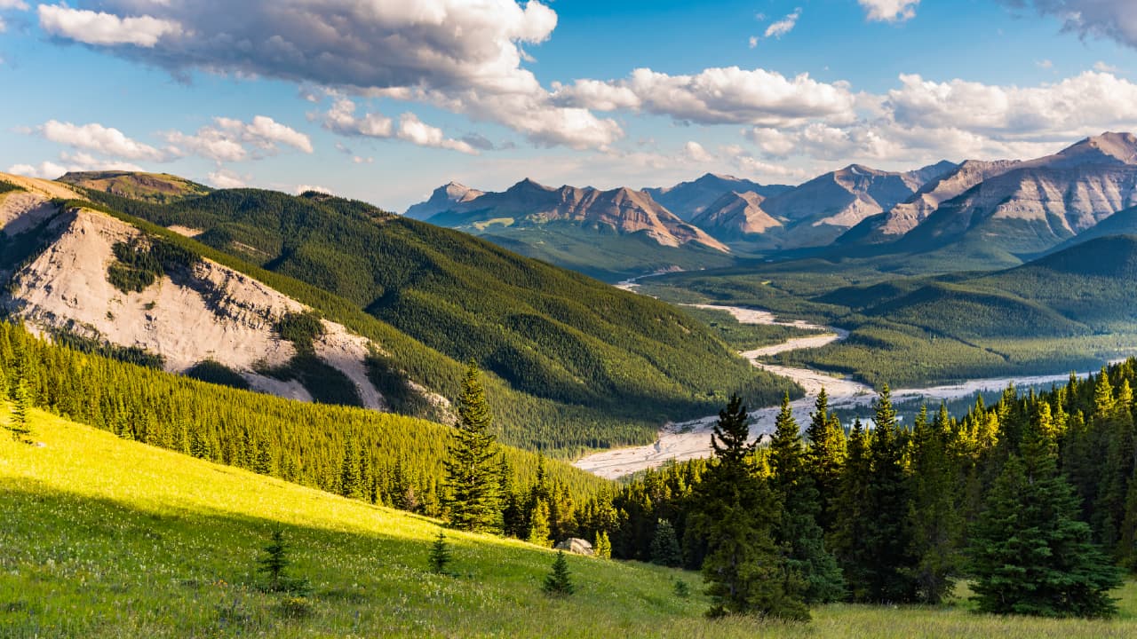 Strengthening Alberta